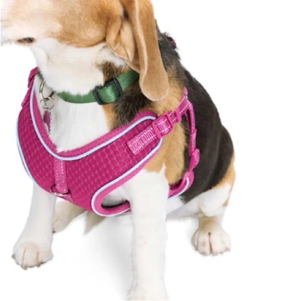 🆕 EVERYAY Pink Reflective Trim Dog Harness EMBRACE THE PACE SIZE XS / S